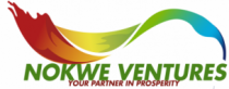 Nokwe Ventures Limited